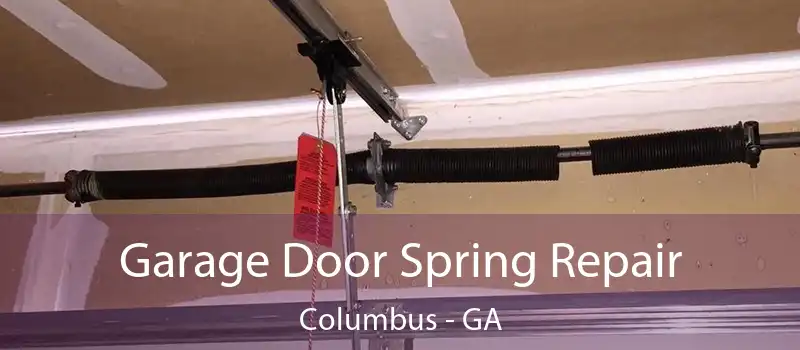  Garage Door Spring Repair Columbus - GA