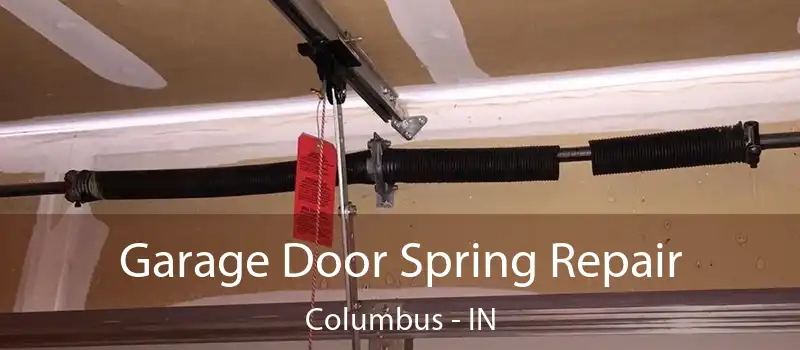  Garage Door Spring Repair Columbus - IN