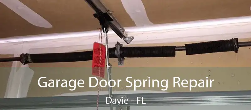  Garage Door Spring Repair Davie - FL