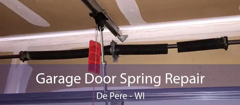  Garage Door Spring Repair De Pere - WI