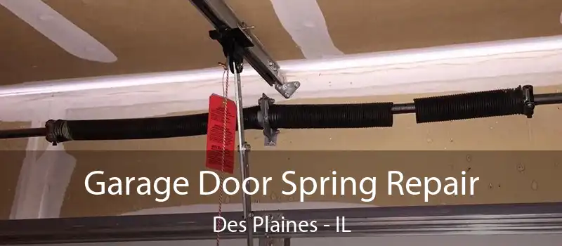 Garage Door Spring Repair Des Plaines - IL