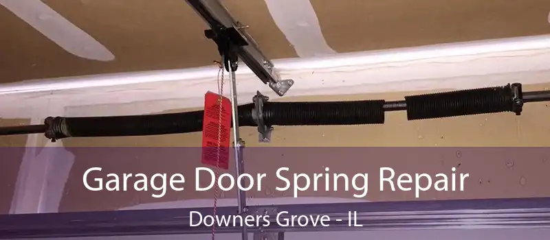 Garage Door Spring Repair Downers Grove - IL