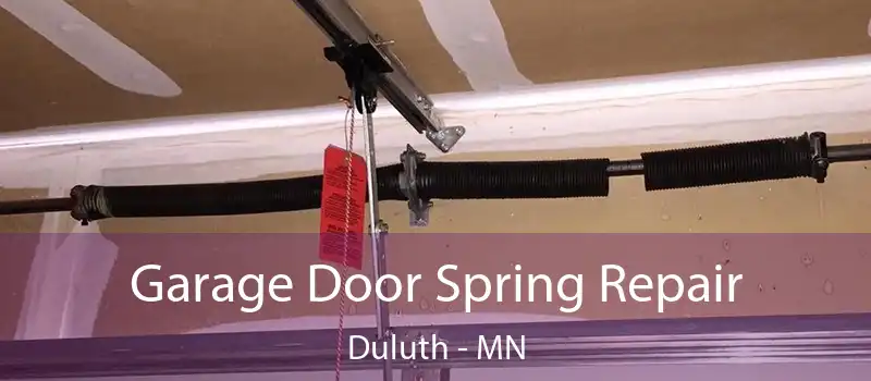  Garage Door Spring Repair Duluth - MN