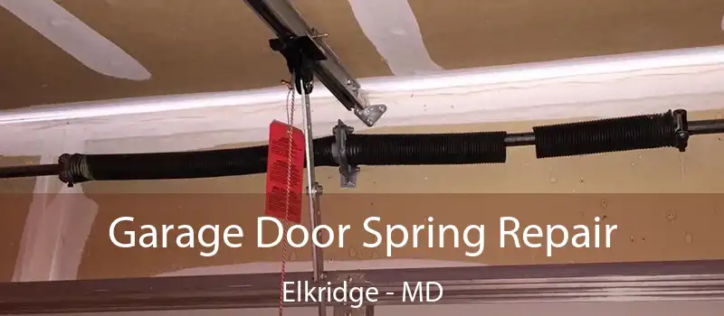  Garage Door Spring Repair Elkridge - MD