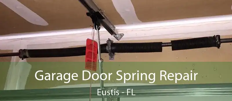  Garage Door Spring Repair Eustis - FL