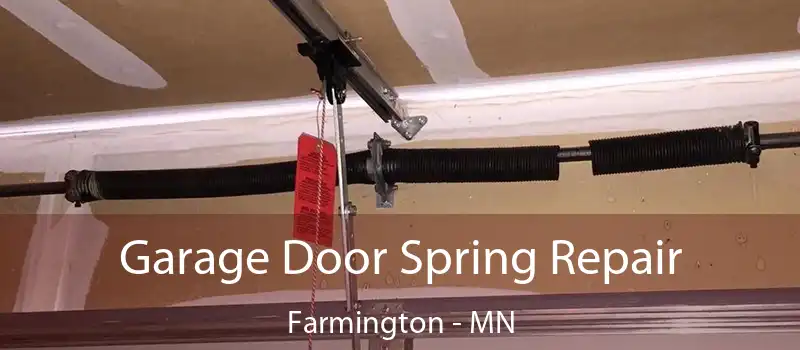  Garage Door Spring Repair Farmington - MN