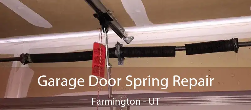  Garage Door Spring Repair Farmington - UT