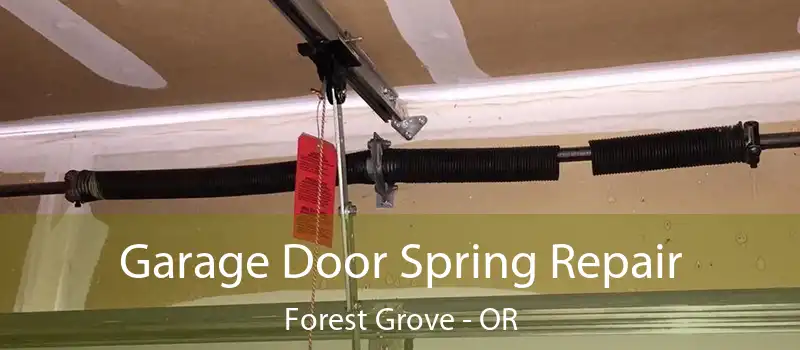  Garage Door Spring Repair Forest Grove - OR
