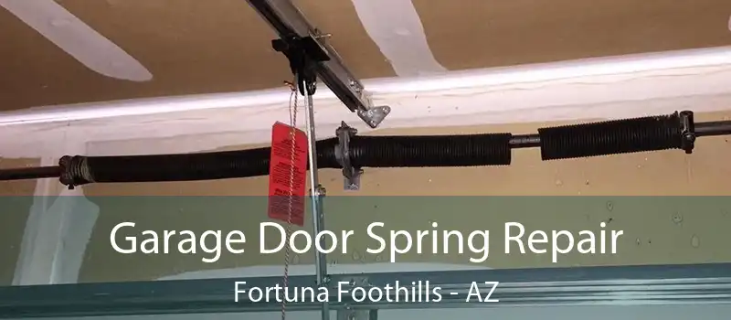  Garage Door Spring Repair Fortuna Foothills - AZ