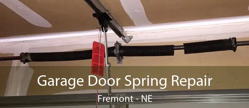  Garage Door Spring Repair Fremont - NE