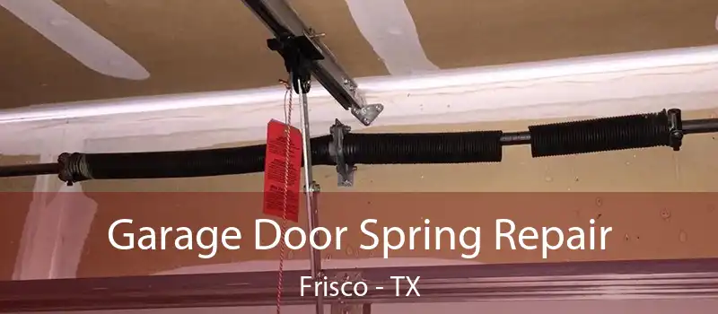  Garage Door Spring Repair Frisco - TX