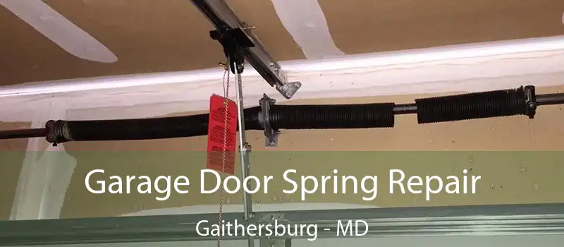  Garage Door Spring Repair Gaithersburg - MD