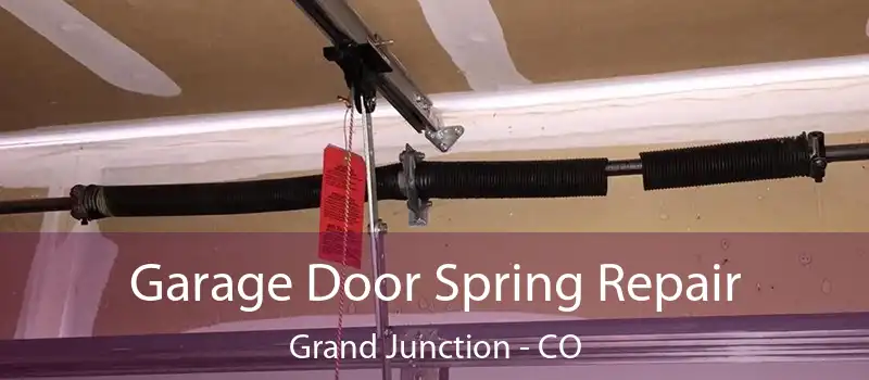  Garage Door Spring Repair Grand Junction - CO