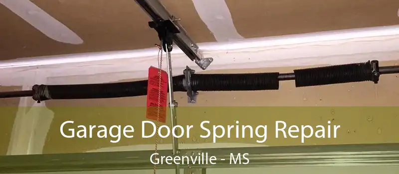  Garage Door Spring Repair Greenville - MS
