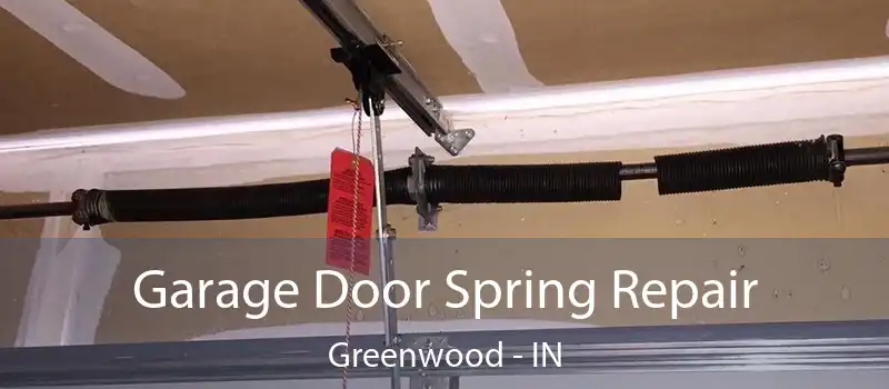 Garage Door Spring Repair Greenwood - IN