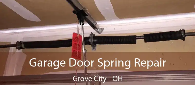  Garage Door Spring Repair Grove City - OH