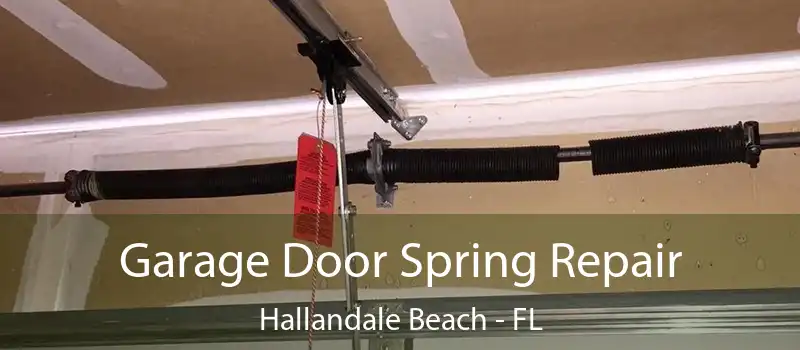  Garage Door Spring Repair Hallandale Beach - FL