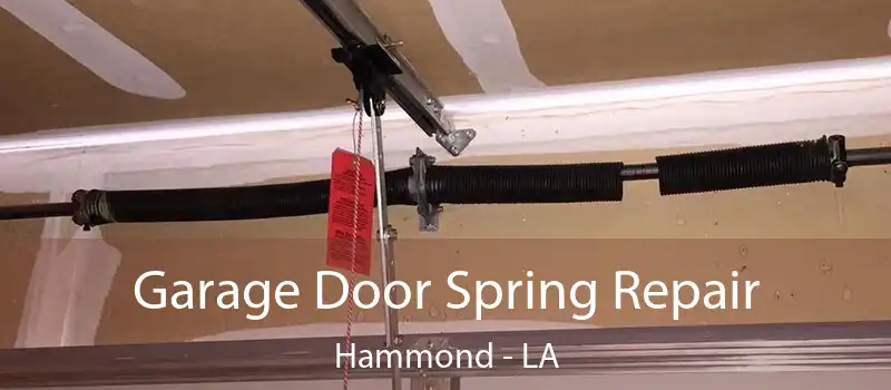  Garage Door Spring Repair Hammond - LA