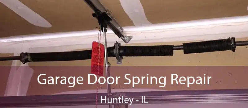 Garage Door Spring Repair Huntley - IL