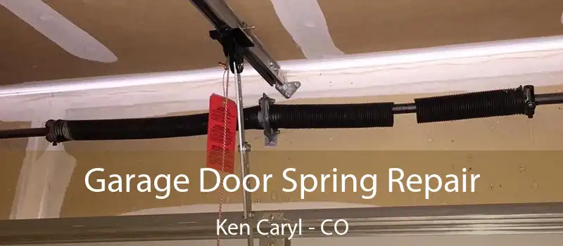  Garage Door Spring Repair Ken Caryl - CO