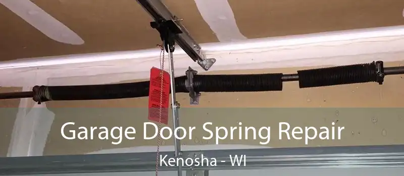 Garage Door Spring Repair Kenosha - WI