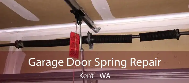  Garage Door Spring Repair Kent - WA