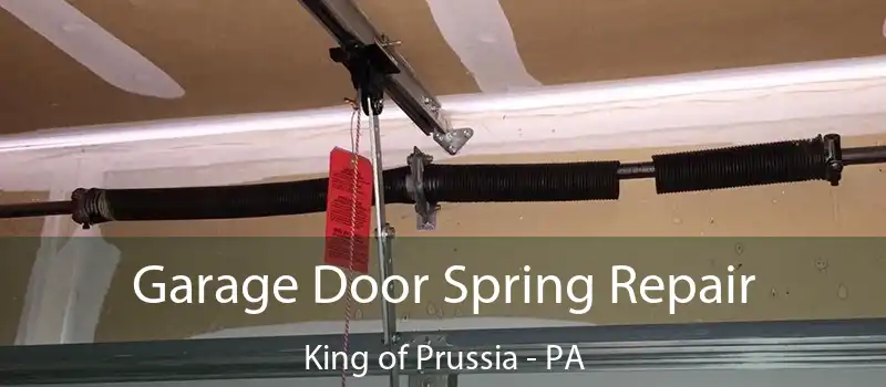  Garage Door Spring Repair King of Prussia - PA