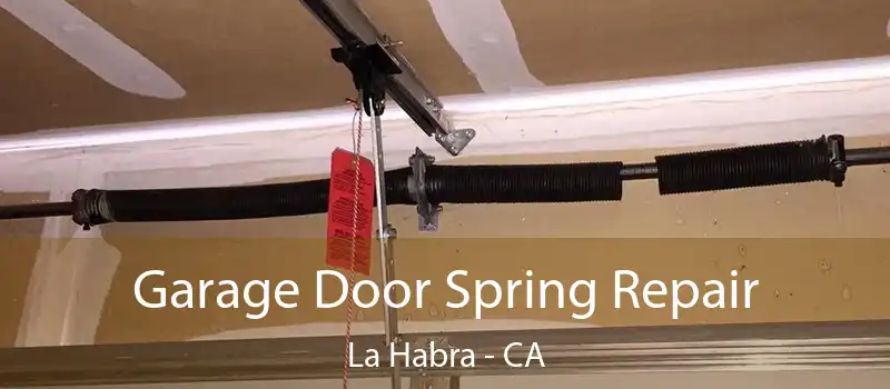  Garage Door Spring Repair La Habra - CA