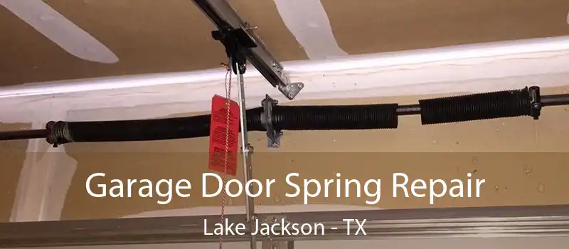  Garage Door Spring Repair Lake Jackson - TX