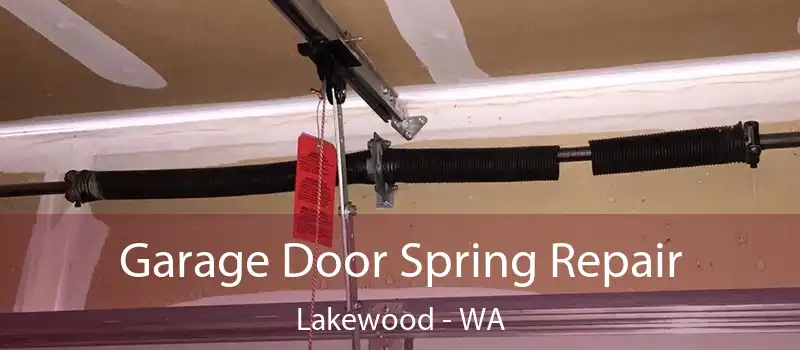  Garage Door Spring Repair Lakewood - WA