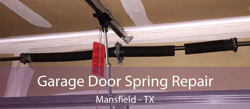  Garage Door Spring Repair Mansfield - TX