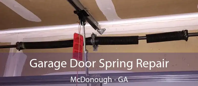  Garage Door Spring Repair McDonough - GA