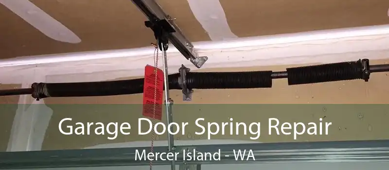  Garage Door Spring Repair Mercer Island - WA