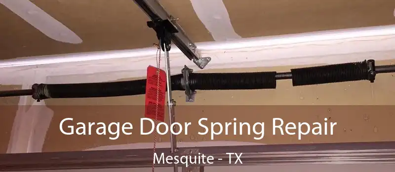  Garage Door Spring Repair Mesquite - TX