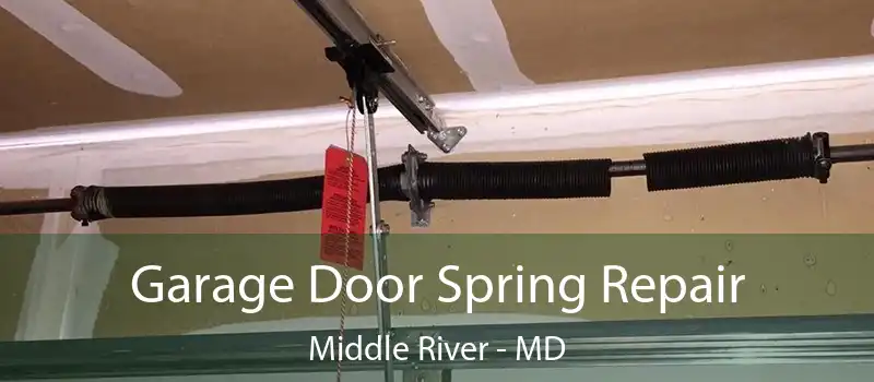 Garage Door Spring Repair Middle River - MD