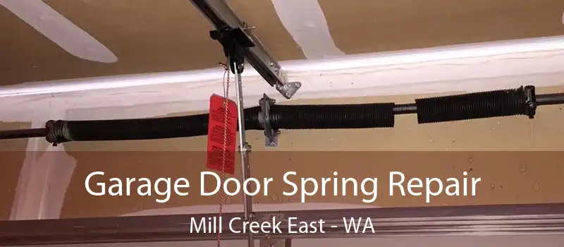 Garage Door Spring Repair Mill Creek East - WA