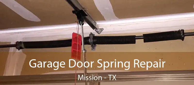  Garage Door Spring Repair Mission - TX