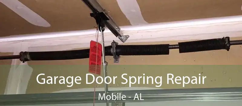  Garage Door Spring Repair Mobile - AL