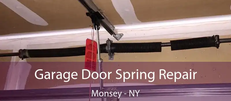 Garage Door Spring Repair Monsey - NY