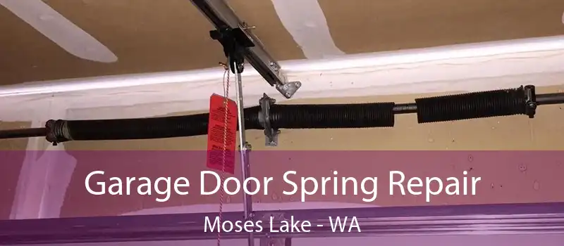 Garage Door Spring Repair Moses Lake - WA