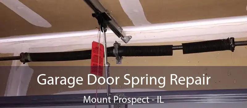 Garage Door Spring Repair Mount Prospect - IL
