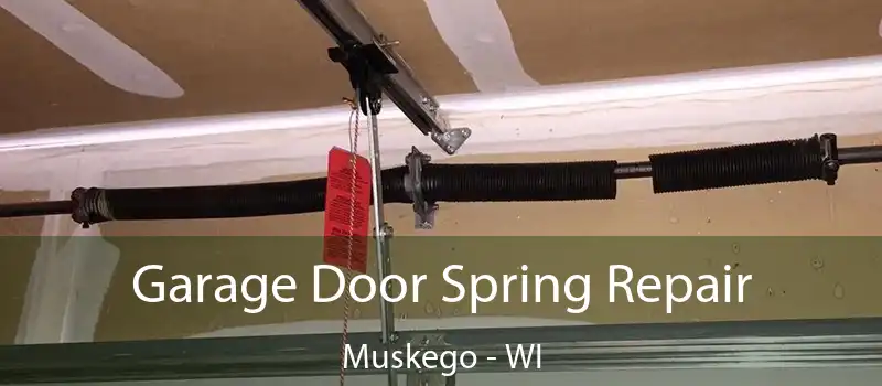  Garage Door Spring Repair Muskego - WI