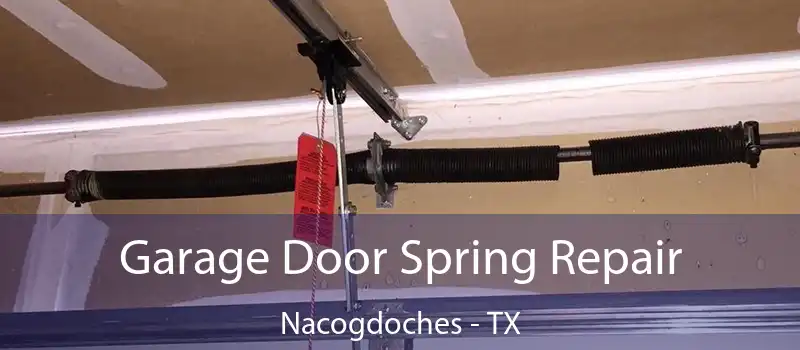  Garage Door Spring Repair Nacogdoches - TX