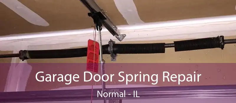 Garage Door Spring Repair Normal - IL