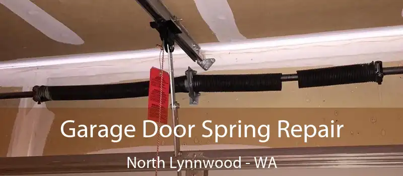  Garage Door Spring Repair North Lynnwood - WA