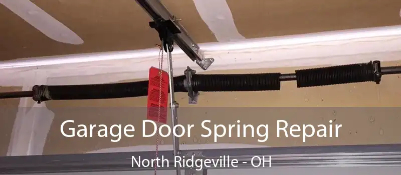  Garage Door Spring Repair North Ridgeville - OH