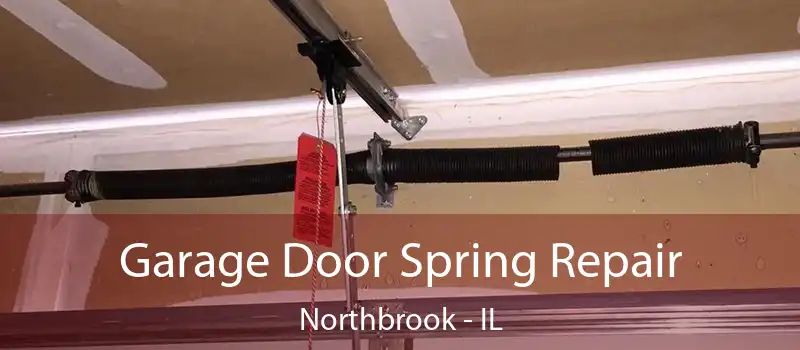 Garage Door Spring Repair Northbrook - IL