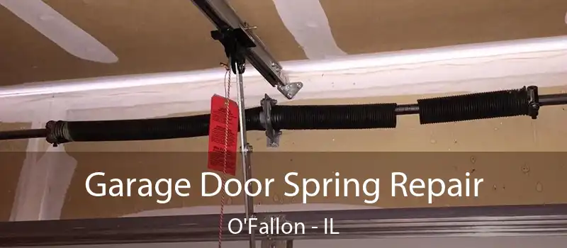 Garage Door Spring Repair O'Fallon - IL