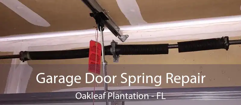  Garage Door Spring Repair Oakleaf Plantation - FL