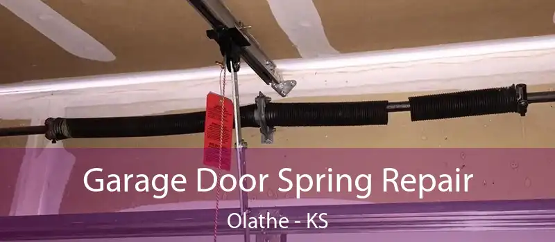  Garage Door Spring Repair Olathe - KS